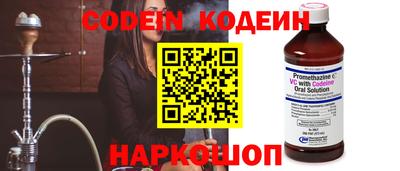 индика Гусев