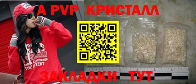 индика Гусев