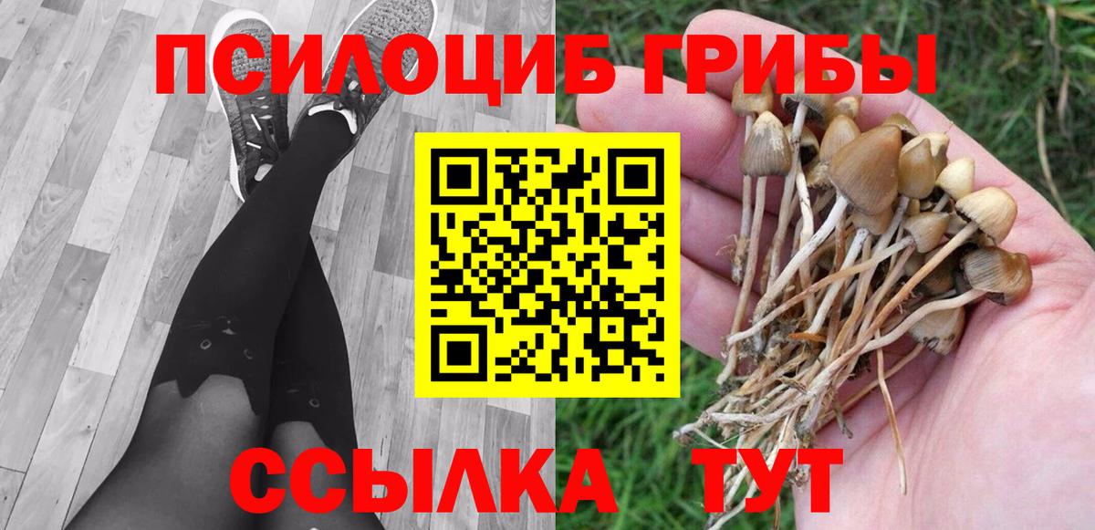 Галлюциногенные грибы Magic Shrooms  Вход с VPN  Назрань 